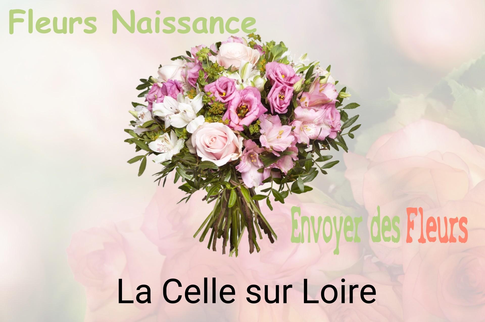 Bouquet de fleurs de naissance livré à La Celle-sur-Loire